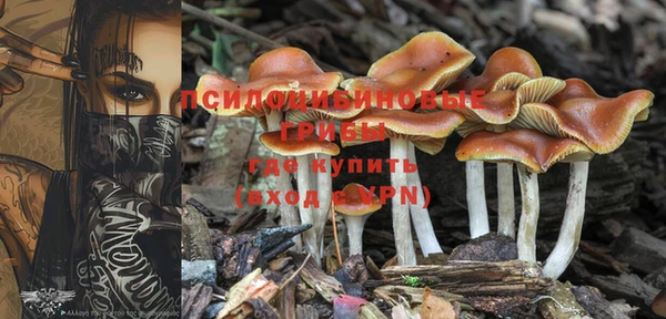 марки lsd Медногорск