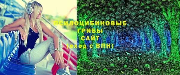 МДПВ Медвежьегорск