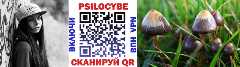 omg   Старый Крым  Псилоцибиновые грибы Psilocybine cubensis 